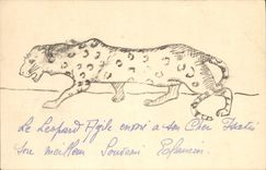 VINTAGE POSTCARD Leopard