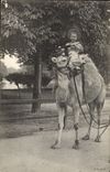 VINTAGE POSTCARD Child Camel
