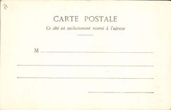 VINTAGE POSTCARD Child Camel