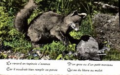 MODERN CARD the Alps Fox