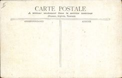 VINTAGE POSTCARD Sahara Camel