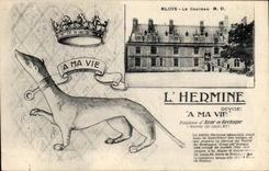 VINTAGE POSTCARD Blois the castle the hermine