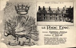 CPA Blois Le chateau Le porc epic 