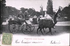 VINTAGE POSTCARD Voitures with spangled Singe