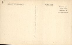 VINTAGE POSTCARD Nimes Museum of Natural history Gallery of the 1st stage Groups mammals of Gard