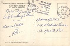 VINTAGE POSTCARD Wood of Vincennes One to tapir of America and its small