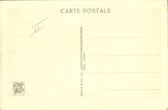 VINTAGE POSTCARD Paris Fair colonial international 1931 Zoological gardens Giraffes and ostriches