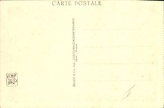 VINTAGE POSTCARD Paris Fair colonial international 1931 Zoological gardens Giraffe and ostrich