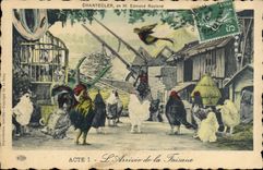 VINTAGE POSTCARD Edmond Rostand Chantecler the arrival of the pheasant one