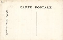 CPA Edmond Rostand Chantecler Les crapauds Grenouille