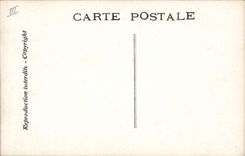 VINTAGE POSTCARD Edmond Rostand Chantecler and the fighting cock