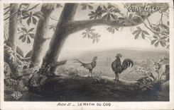 CPA Edmond Rostand Chantecler Le matin au coq
