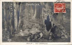 CPA Edmond Rostand Chantecler Les crapauds Grenouille