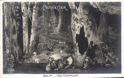 CPA Edmond Rostand Chantecler Les crapauds Grenouille