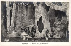 VINTAGE POSTCARD Edmond Rostand Chantecler the night of the nightingale