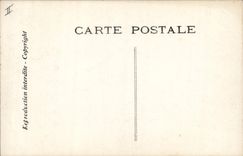 VINTAGE POSTCARD Edmond Rostand Chantecler the night of the nightingale