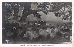 VINTAGE POSTCARD Edmond Rostand Chantecler night the ode at the night Owl Owl