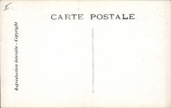 CPA Edmond Rostand Chantecler Les nocturnes L'ode a la nuit Chouette Hibou