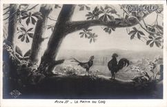 CPA Edmond Rostand Chantecler Le matin au coq