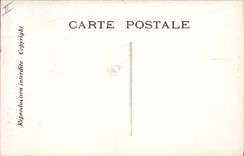 CPA Edmond Rostand Chantecler Le soir de la faisane