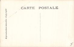 CPA Edmond Rostand Chantecler Les nocturnes L'ode a la nuit Hubou Chouette