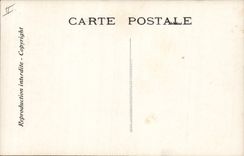 CPA Edmond Rostand Chantecler Les crapauds Grenouille