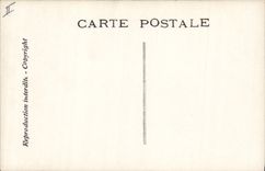 CPA Edmond Rostand Chantecler et ses poules