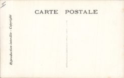 VINTAGE POSTCARD Edmond Rostand Chantecler the morning of the cock