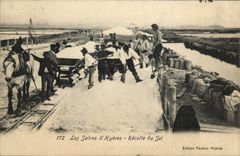 CPA Folklore Marais Salants Les Salins d'Hyeres Recolte de sel