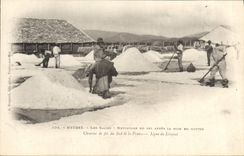 CPA Folklore Marais Salants Hyeres Les Salins Le nettoyage du sel apres la mise en mottes 