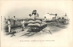 CPA Folklore Marais Salants Salins D'Hyeres Transport de sel pour l'embarquement