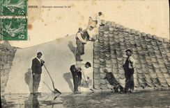 CPA Folklore Marais Salants Berre Ouvriers couvrant le sel