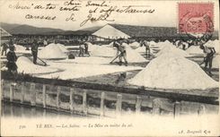 VINTAGE POSTCARD Folklore Salt-water Marshes Yeres Hyeres saline the setting in mounds of salt