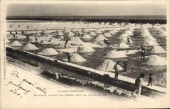 VINTAGE POSTCARD Folklore Saline Saline Marshes of Hyeres Beaters making the sheaves in Cristalisoires