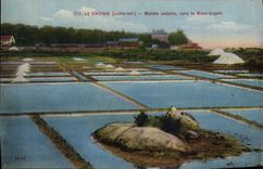 CPA Folklore Marais Salants Le Croisic Marais salants vers le Mont Esprit