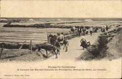CPA Folklore Marais Salants Presqu'ile Croisicaise A travers les marais salants du Pouliguen Bourg de Batz Le Croisic 