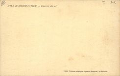 CPA Folklore Marais Salants Ile de Noirmoutier Cahrroi su sel