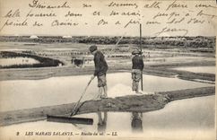CPA Folklore Marais Salants Recolte du sel