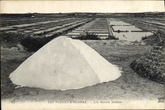 CPA Folklore Marais Salants Les Sables d'Olonne 