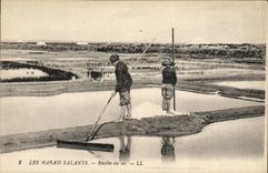 CPA Folklore Marais Salants Recolte de sel