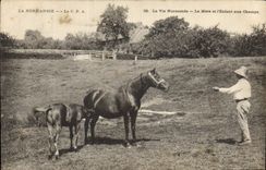 CPA Folklore Normandie La mere et l'enfant aux champs Cheal