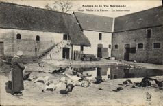 CPA Folklore Normandie Visite a la ferme La basse cour 