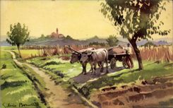 VINTAGE POSTCARD Fantasy Illustrator Patsage Coach Oxen