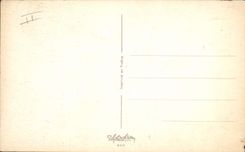 VINTAGE POSTCARD Fantasy Illustrator Patsage Coach Oxen