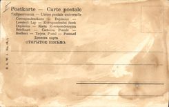 VINTAGE POSTCARD Fantasy Illustrator Woman Wien Bauer