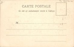 CPA Militaria Revue des Reservistes de la 11eme division 1899