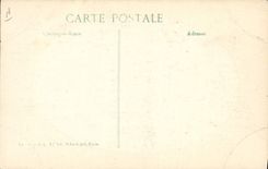 CPA Militaria Infanterie indigene Sous officier 