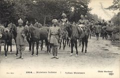 VINTAGE POSTCARD Militaria Indian Muleteers
