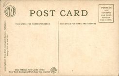 MODERN CARD New York Zoological Park Squirrel Squirrel