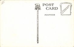 VINTAGE POSTCARD Seals one the rock'n'rolls near Cliff House San Francisco California Seals